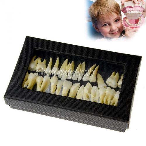 New dental 1:1 28Pcs Permanent Teeth demonstration teach Study Model #7008