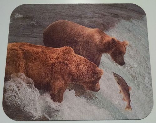 NEW Mouse Pad Home Office Brown Bear in Alaska Fishing at Brooks Falls Katmai