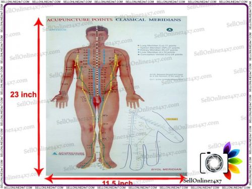 (Set Of 3) Acupuncture Points Chart Meridians  Educational Very Useful Chart