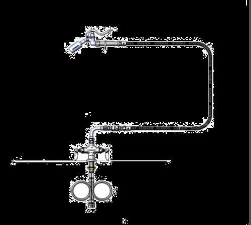 T&amp;S Brass B-0300-WD Pantry Faucet double eternas with spring checks