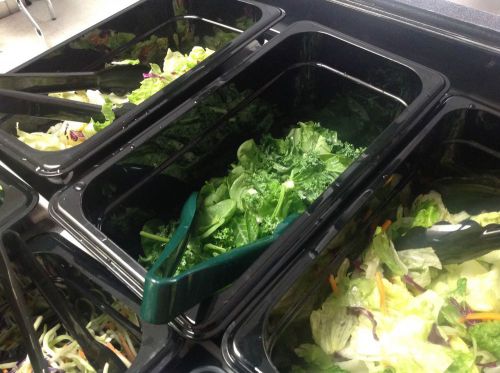 Salad bar buffet for sale