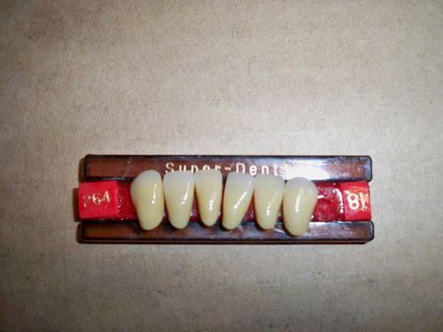 SUPER DENT LOWER ANTERIORS 1X6 PLASTIC DENTURE TEETH !!