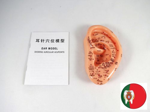 Professional medical and educational model acupuncture ear 13cm it-096 artmed for sale