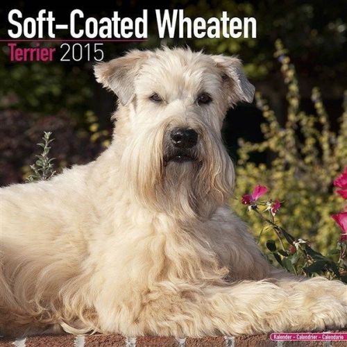 New 2015 soft-coated wheaten terrier calendar by avonside- free priority shippin for sale