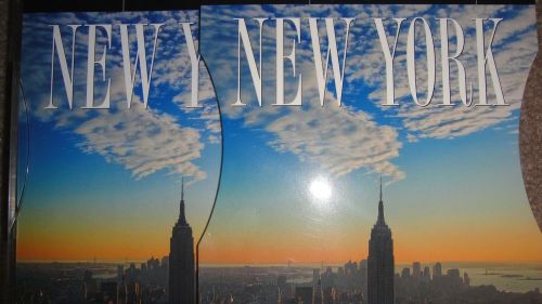 New York Gallery 2010 Calendar (2009, Calendar Paperback)