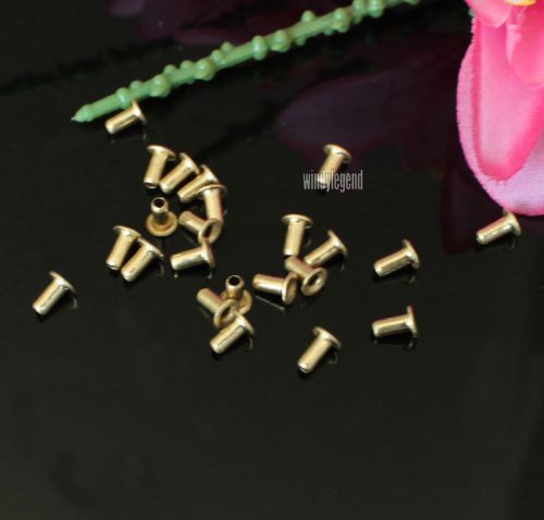 50 PCS BEEKEEPING EYELETS BEEKEEPER EQUIPMENTS