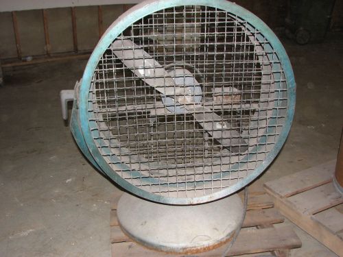 Shop Fan