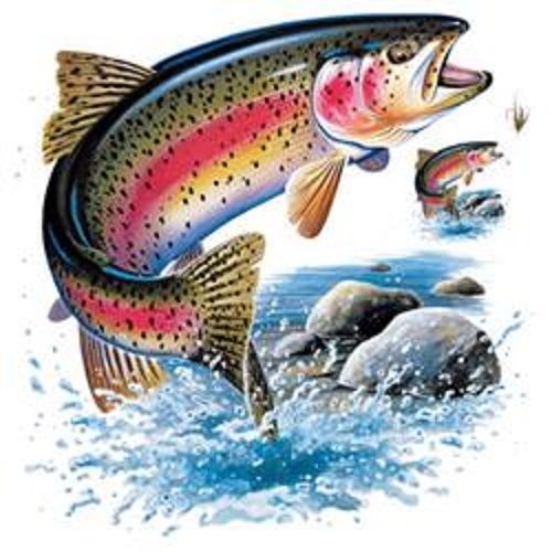 Rainbow Trout HEAT PRESS TRANSFER for T Shirt Tote Sweatshirt Quilt Fabric #249e