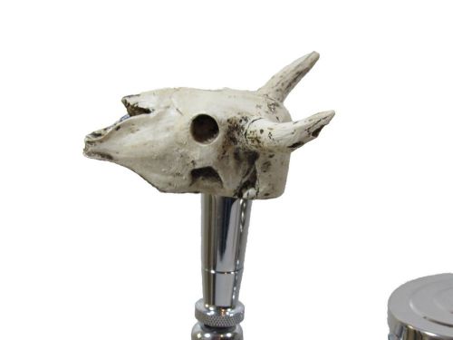 Bull Steer Cow Skull Head Tap Handle Beer Sports Bar Brew Keg Party Ale Rodeo