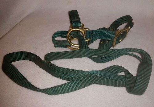 Unused  Hamilton sheep halter and lead