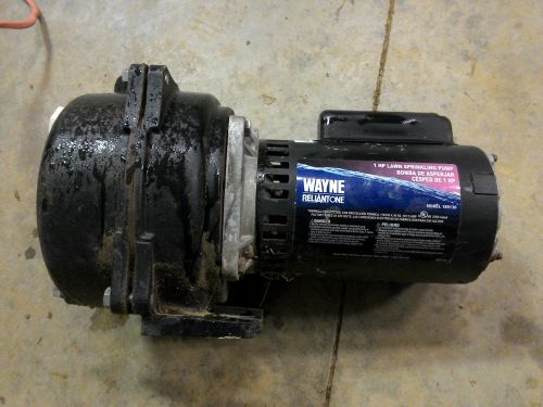 1 hp wayne reliant one water pump