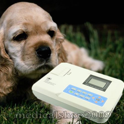 Veterinary 1 channel ecg machine electrocardiograph 12 lead ecg machine ecg100g for sale