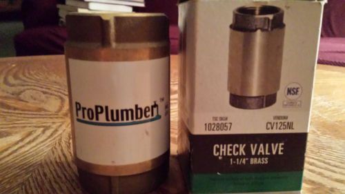 1 1/4 inch New Brass Check Valve