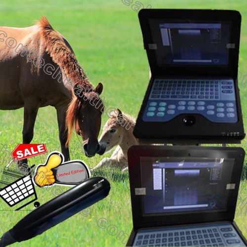 VET Animal B-ultrasound Diagnostic Scanner Endo-Rectal Linear Laptop/Notebook P2