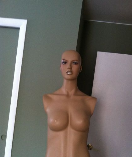 Female Mannequin Torso &amp; Head   in Natural