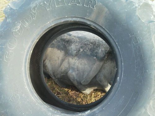 Tractor tire new 19.5 L x 24