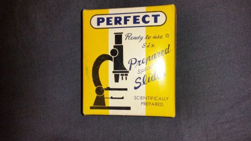 PERFECT PREPARED SPECIMEN SLIDES 810-D VARIETIES OF BACTERIA BOX OF 6