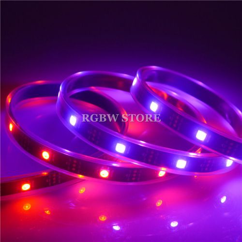 10x 5m ws2812b 2812 30 leds/m 150 addressable 5050 rgb led strip black pcb wp 5v for sale