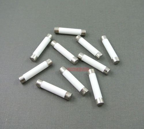 100pcs Ceramic Tube Fuse 25A 250V Fast Blow Type 6x30mm