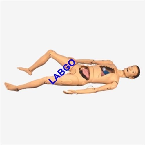 Nursing Manikin Combination male &amp; female with Organ LABGO