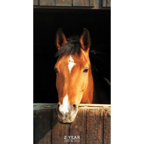 2015-2016 2 Year HORSES Pocket Planner NEW Monthly Animals Calendar
