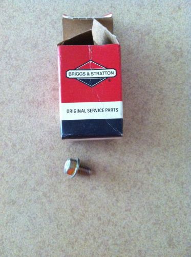 Briggs and Stratton Screw 93705