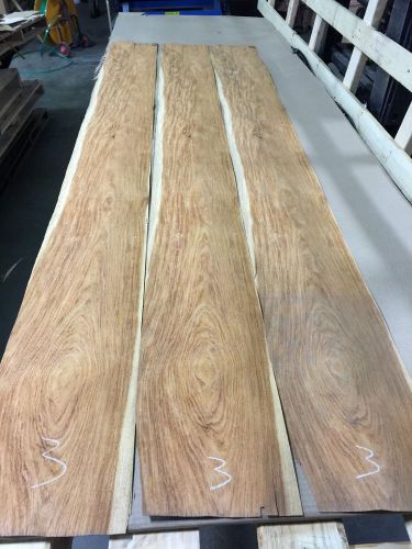 Wood Veneer Kings Wood 10x96 3pcs total Raw Veneer  &#034;EXOTIC&#034; MEX 3