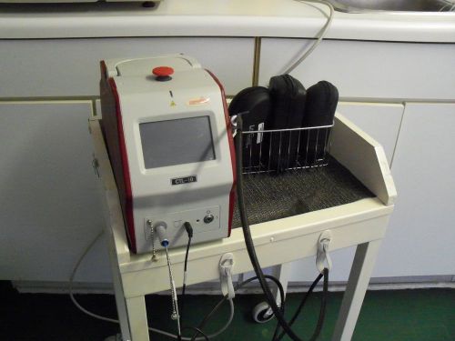 Veterinary Therapeutic Laser