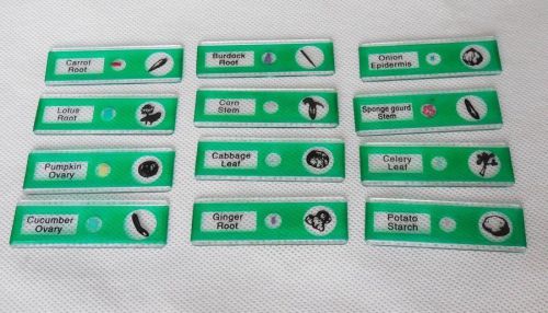 12PCS Plastic Child Microscope Slides of Vegetables with Box