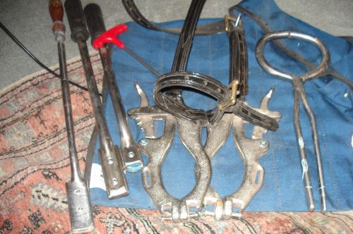 Horse Dental Tools