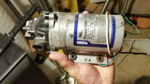 100 PSI Shurflo pump