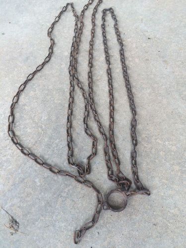 Old 21&#039; Dog Chain,