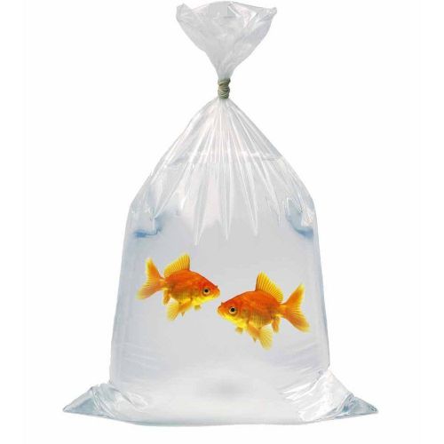 6&#034;x10&#034; Clear Polypropylene Poly Bags 100 Pcs Shipping Bags 2 Mil