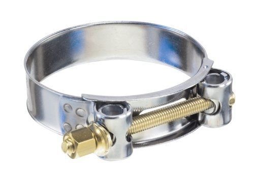 Xcdiscount TBC-SSC031 Heavy Duty T-Bolt Clamp, 304 Pulsera de acero inoxidable,