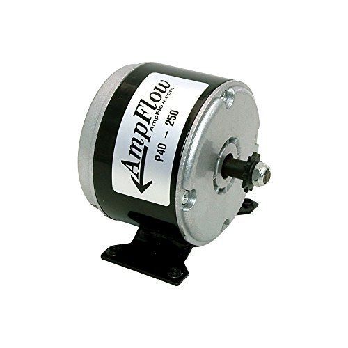 AmpFlow P40-250 Brushed Electric Motor, 250W, 12V, 24V or 36 VDC, 3400 rpm