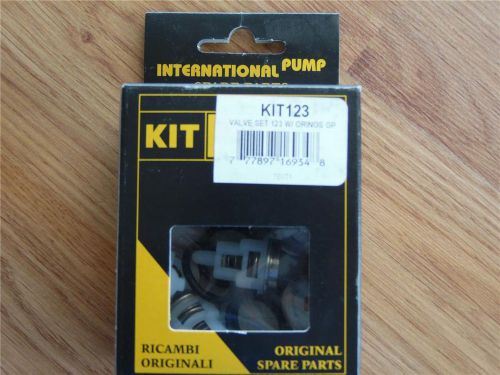 GENERAL PUMP GP VALVE KIT123 EZ4040G EZ3040G TX1510G8 KIT 34.0123.TM FREE S&amp;H