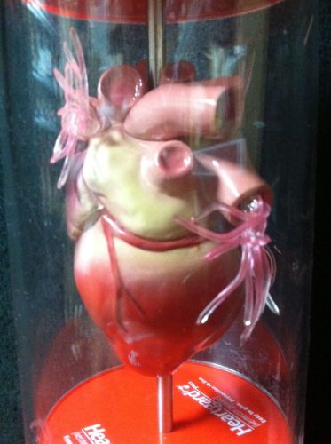 Heart Worm Disease Anatomical Model Dog Heart Veterinary Model