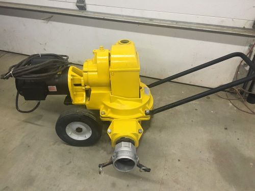 DAYTON TEEL 3P682 TRANSFER PUMP 1.5 HP DIAPHRAGM 60 GPM 115V Water Pump