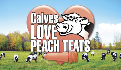 Peach Teats 50/Box