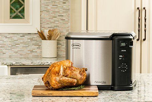 Masterbuilt butterball electric  10l analog w/timer, 10 lturkey frye for sale