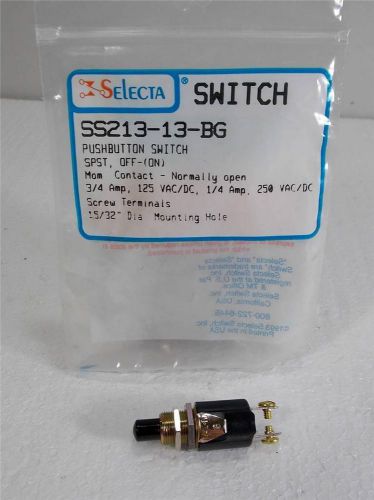 NEW SELECTA SWITCH PUSHBUTTON SS213-13-BG