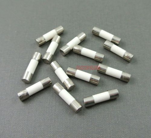 100pcs Ceramic Tube Fuse 0.5A 250V Slow Blow Type 5x20mm