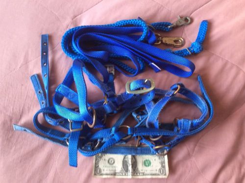 Five Blue Halters, Two Lead Ropes, Used, Llama, Sheep, Goat, Alpaca