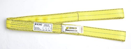 4&#034; x 12&#039; Eye and Eye Sling: Synthetic Flat Web Sling, Heavy Duty, 2 Ply