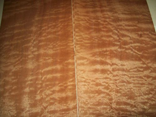 pommele sapeles veneer 10 @ 8 x 36-1/2 [4966