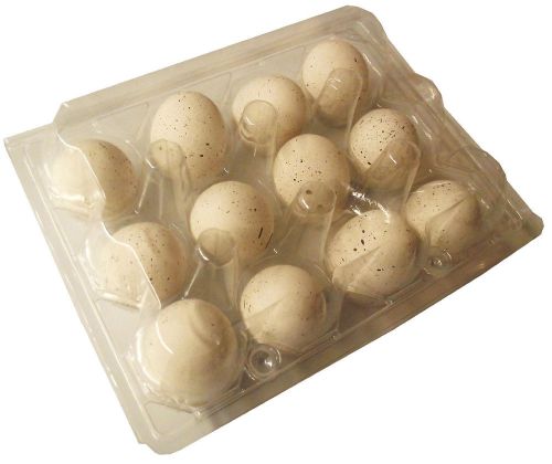 200 PACK RITE FARM PRODUCT 12 EGG CLEAR POLY QUAIL CARTON TRAY BOBWHITE COTURNIX