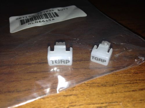 Motorola Astro Spectra / Spectra TGRP keys (2) HLN6645A