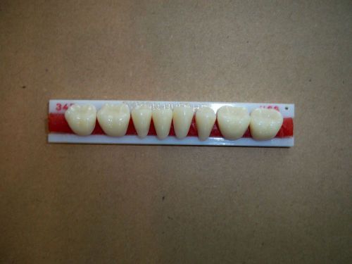 DYMON-HUE HPT LOWER POSTERIORS 1 x 8 PLASTIC  DENTURE TEETH!!