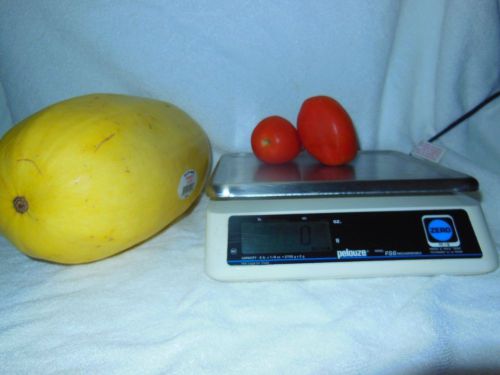 DIGITAL PORTION SCALE