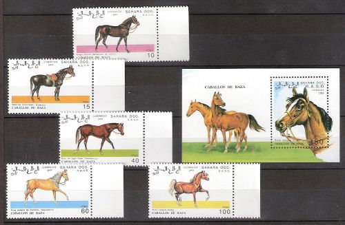 Sahara &#034;horses&#034; 1993  sheet + 5 stamps mnh for sale